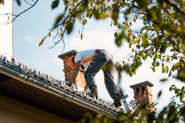 Best Metal Roofing Contractor  in Boone, NC
